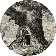 Kuva:Biodiversity Heritage Library