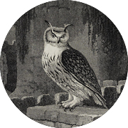 Kuva:Biodiversity Heritage Library